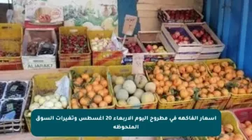 أسعار الفاكهة في مطروح اليوم الأربعاء 20 أغسطس وتغيرات السوق الملحوظة